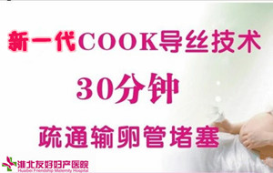 新一代cook导丝:输卵管性不孕比较新治疗技术